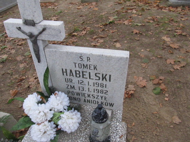 Tomek Habelski 1981 Trzcinica - Grobonet - Wyszukiwarka osób pochowanych