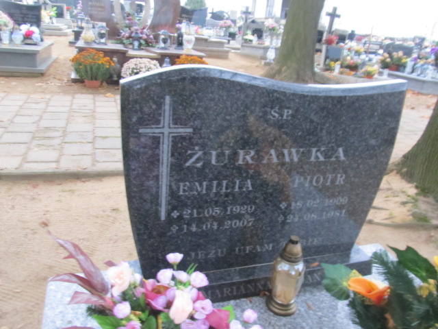 Emilia Żurawka 1929 Trzcinica - Grobonet - Wyszukiwarka osób pochowanych