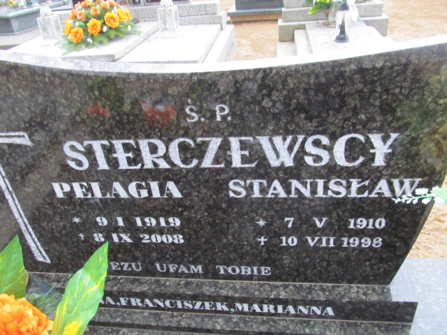 Pelagia Sterczewska 1919 Trzcinica - Grobonet - Wyszukiwarka osób pochowanych