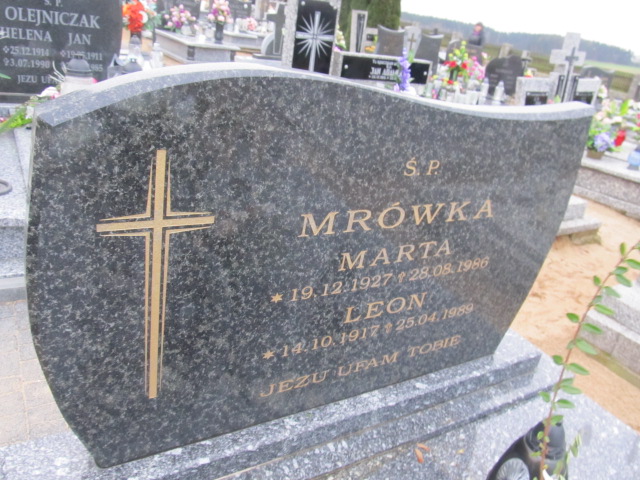 Leon Mrówka 1917 Trzcinica - Grobonet - Wyszukiwarka osób pochowanych