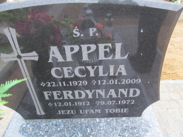 Ferdynand Appel 1912 Trzcinica - Grobonet - Wyszukiwarka osób pochowanych